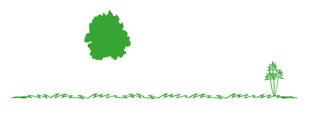 Old Mission Associates LLC